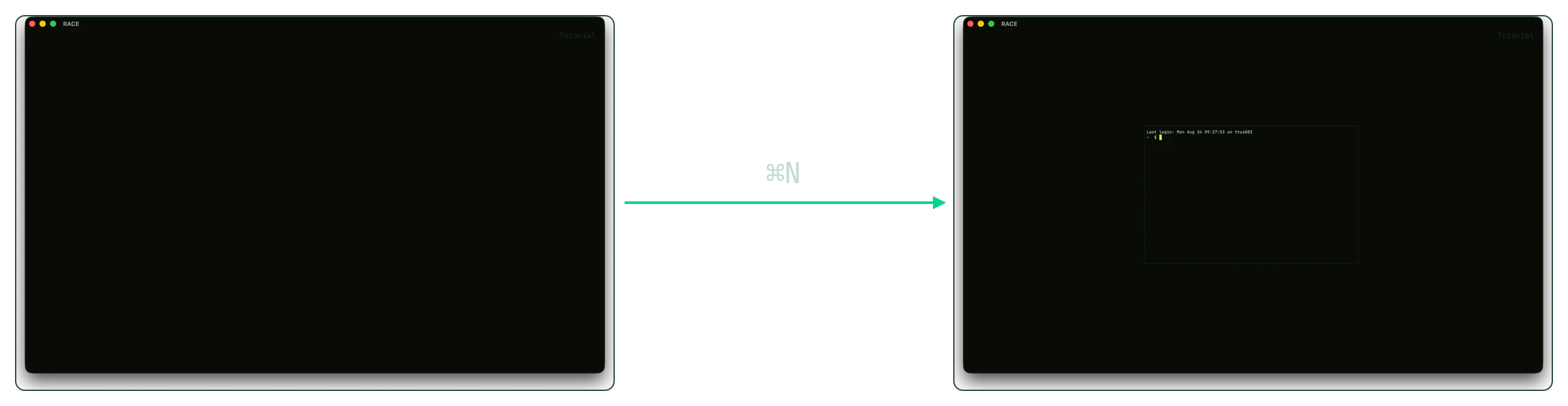 An empty RACE canvas, then the same canvas with one terminal on it after Command+N